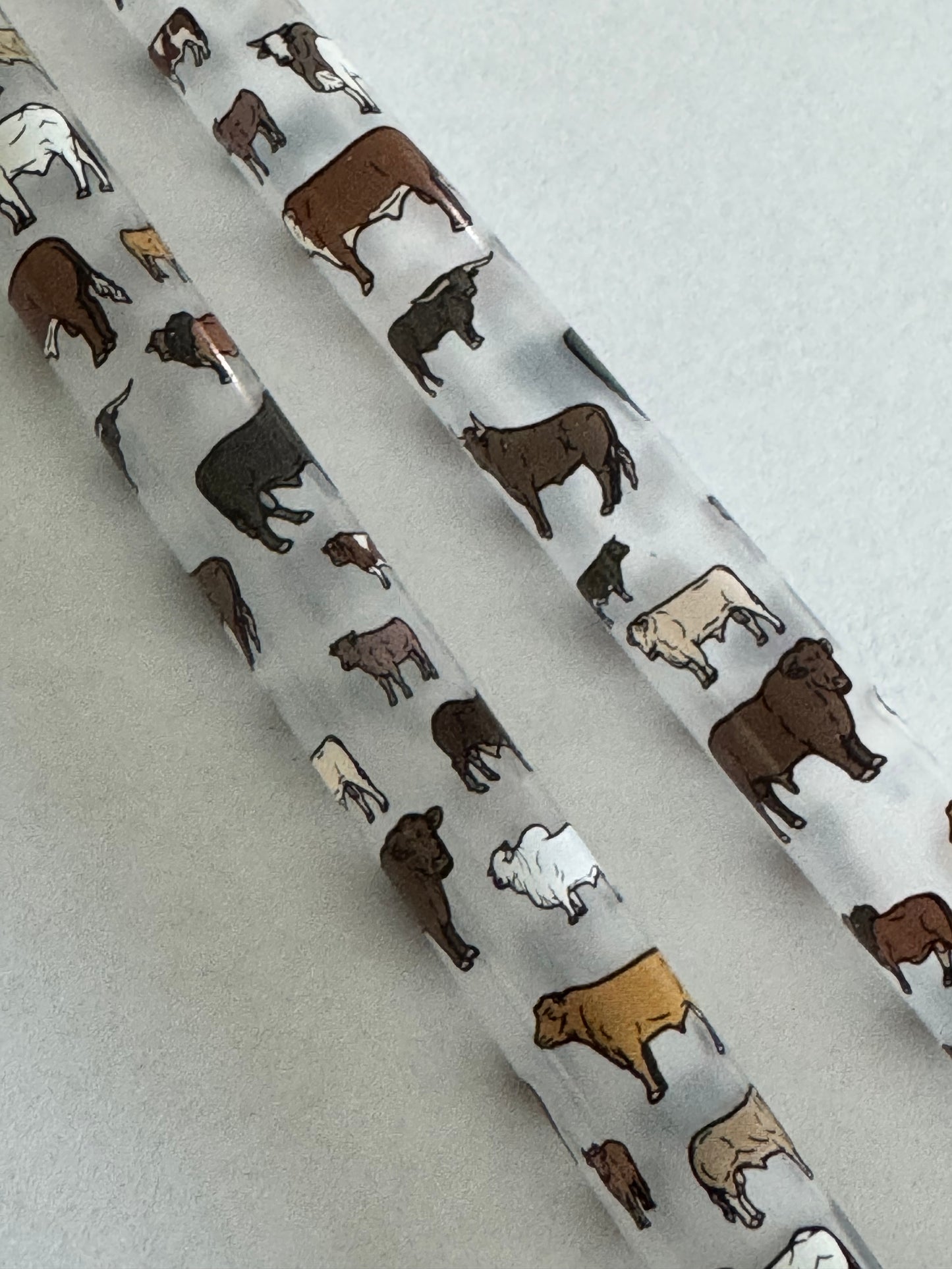 Decorative Straw (10mm)